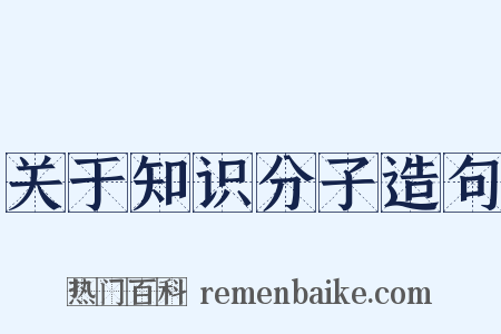 关于知识分子造句是什么意思的图片